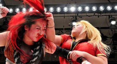 Wrestler