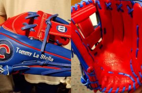 cubs_glove_fgqsn53p_p43o0txf.jpg