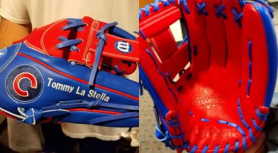 cubs_glove_fgqsn53p_p43o0txf.jpg