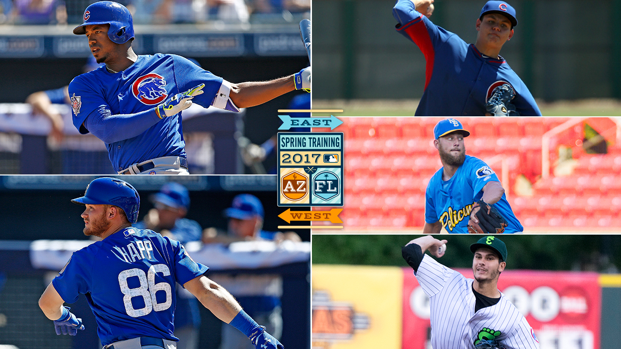 Pipeline report: Prospects in Cubs' camp